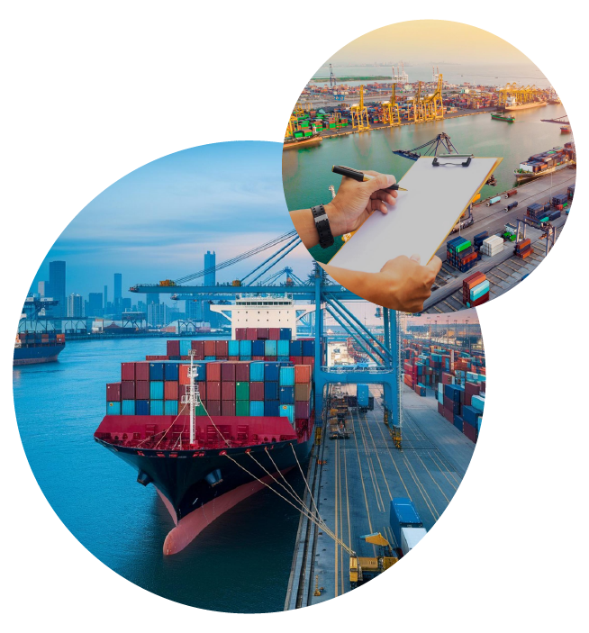 Ocean Freight Services