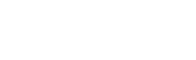 Vega Express Logo